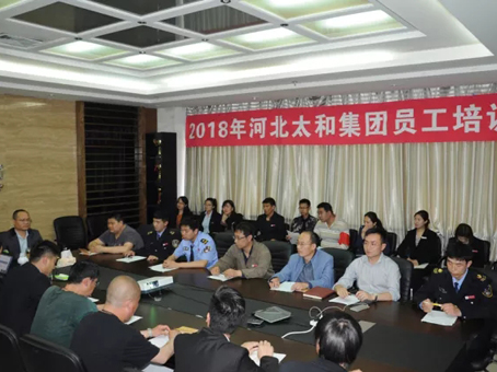 6966集团-不凡成就非凡,相信品牌的力量