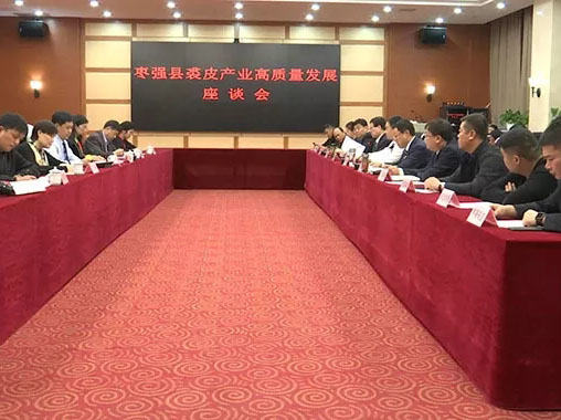 6966集团-不凡成就非凡,相信品牌的力量