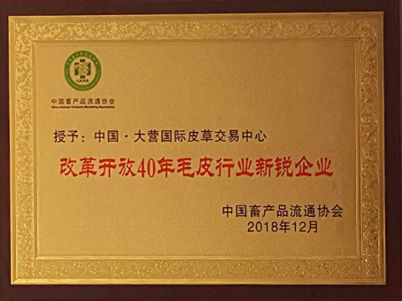 6966集团-不凡成就非凡,相信品牌的力量